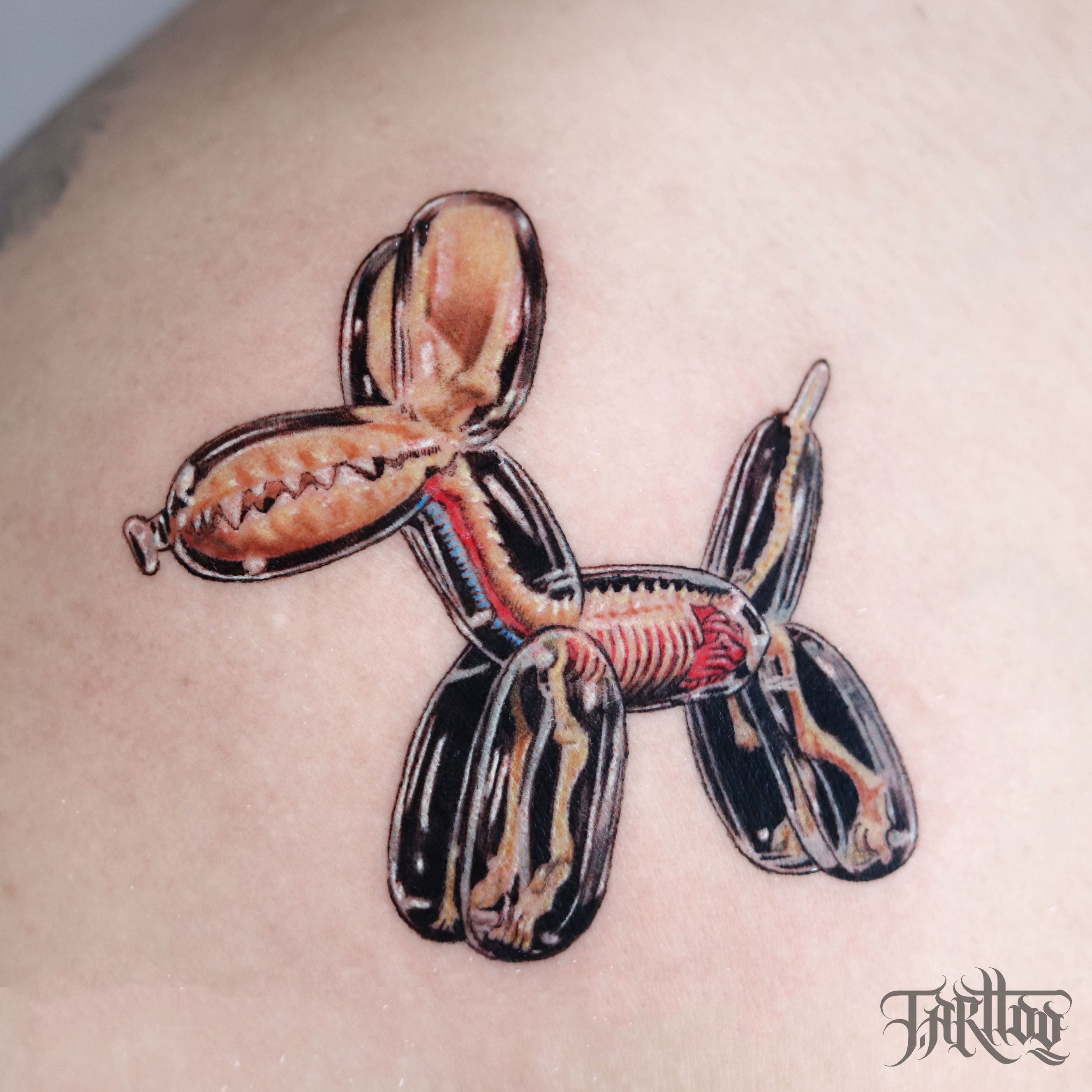 Anatomical balloon-dog tattoo with exposed cross-section anatomy