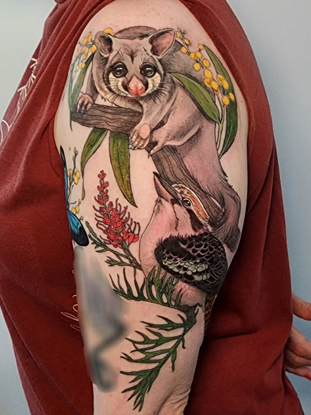 Vibrant brush-tailed possum and kookaburra woodland scene