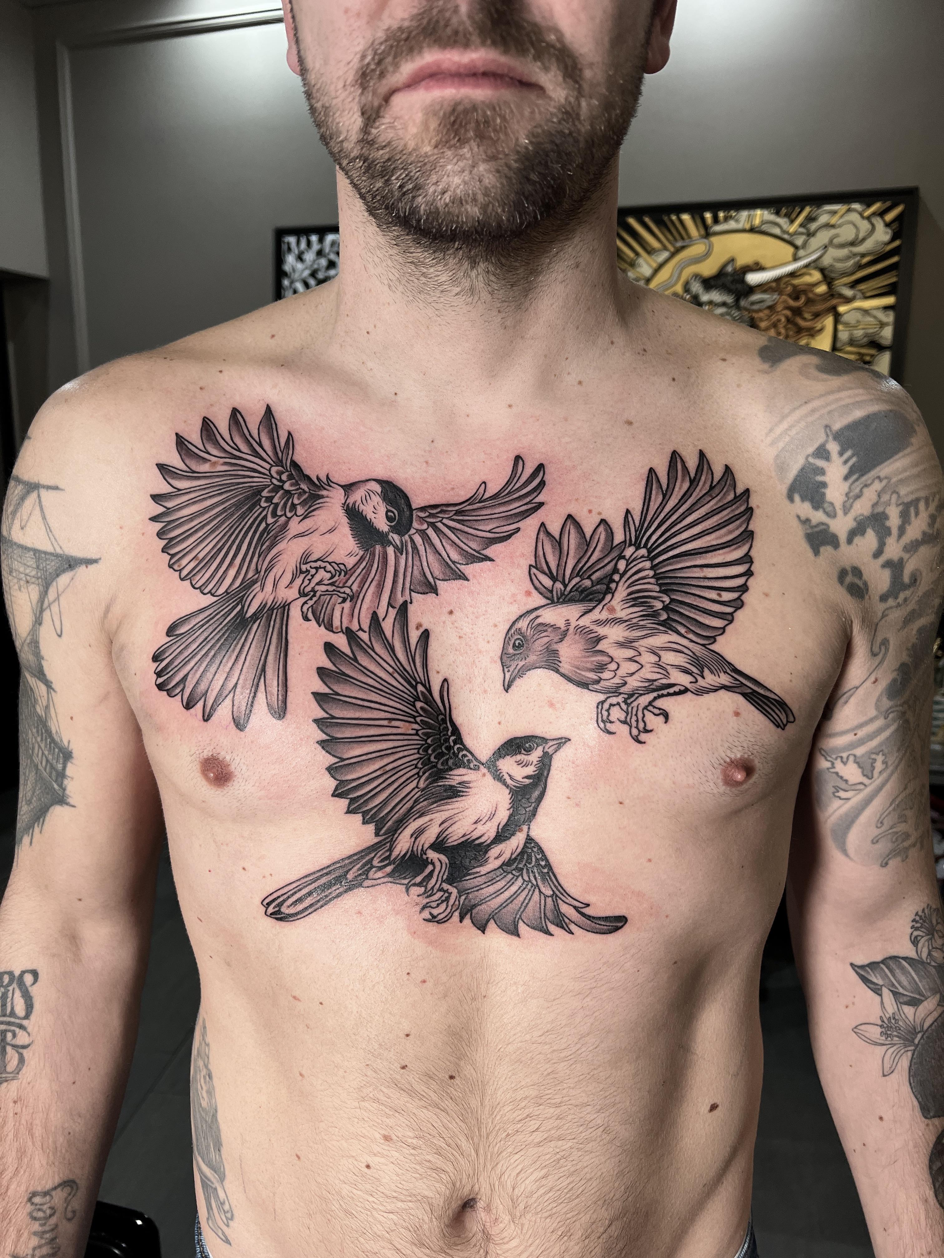 Three robins in bold linework across the chest