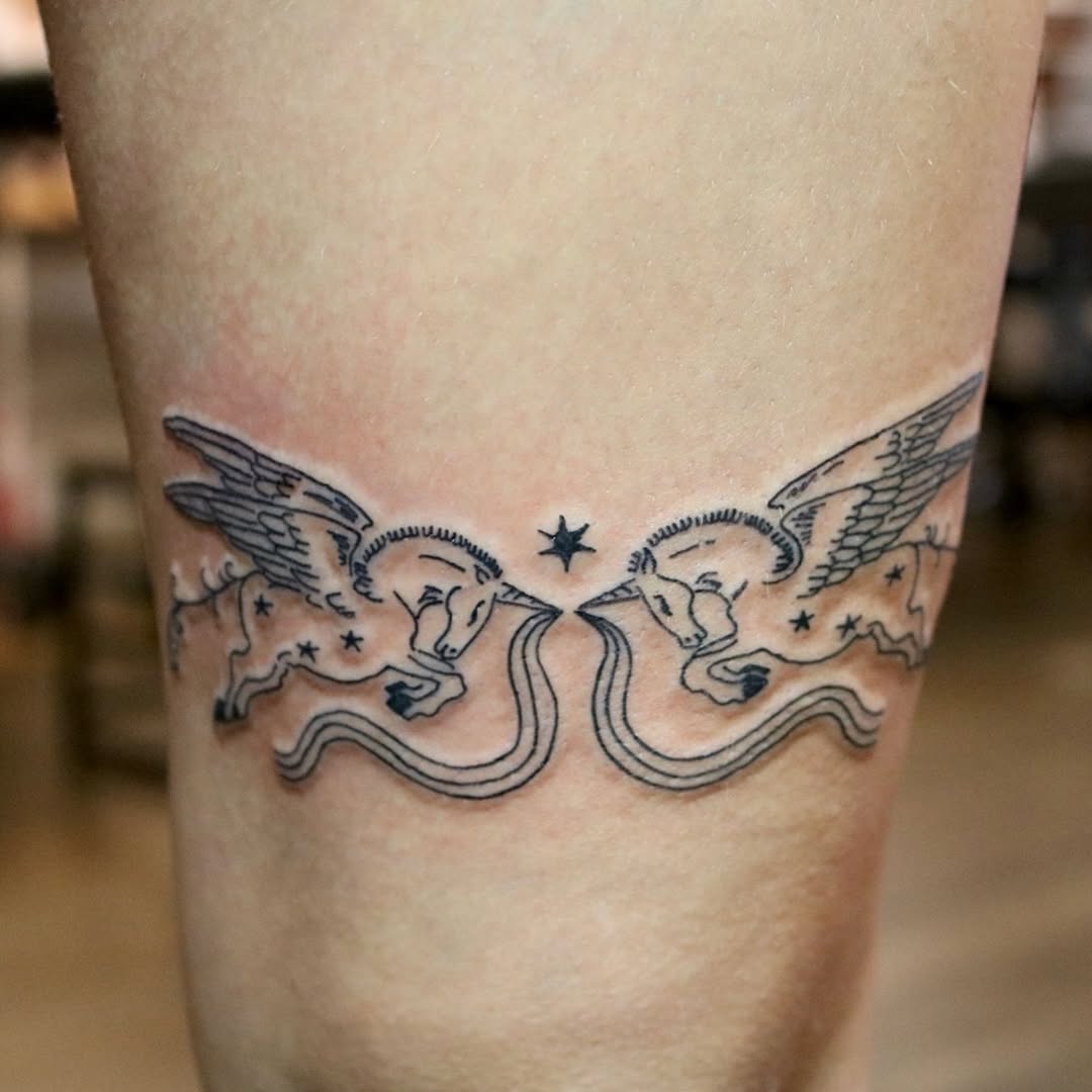 Symmetrical twin Pegasus duo with flowing ribbon constellations