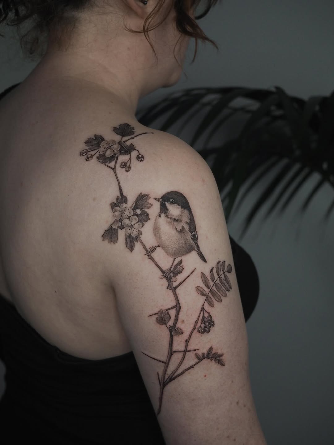 Delicate black-and-gray bird perched on flowering branch