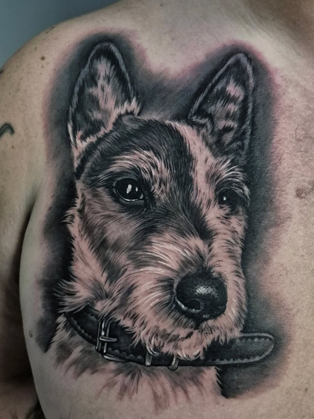 Hyper-detailed black-and-gray dog portrait with soft fur
