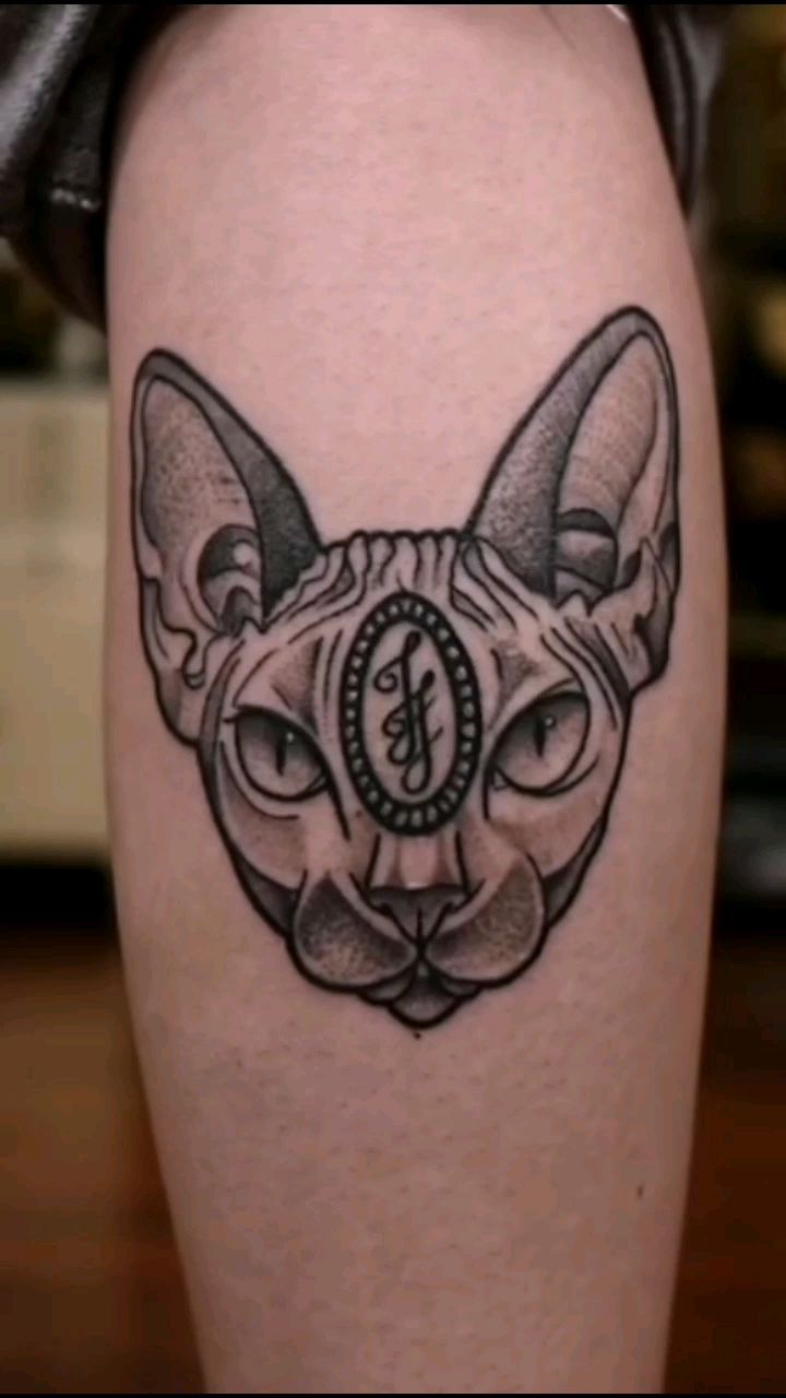 Sleek sphynx head with ornate forehead oval emblem