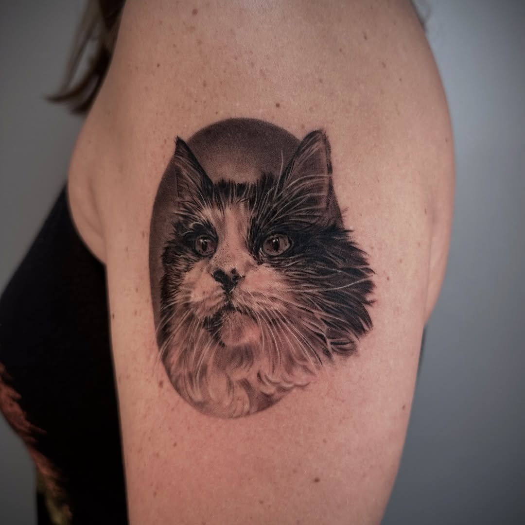 Hyper-realistic black-and-gray cat head portrait in circle