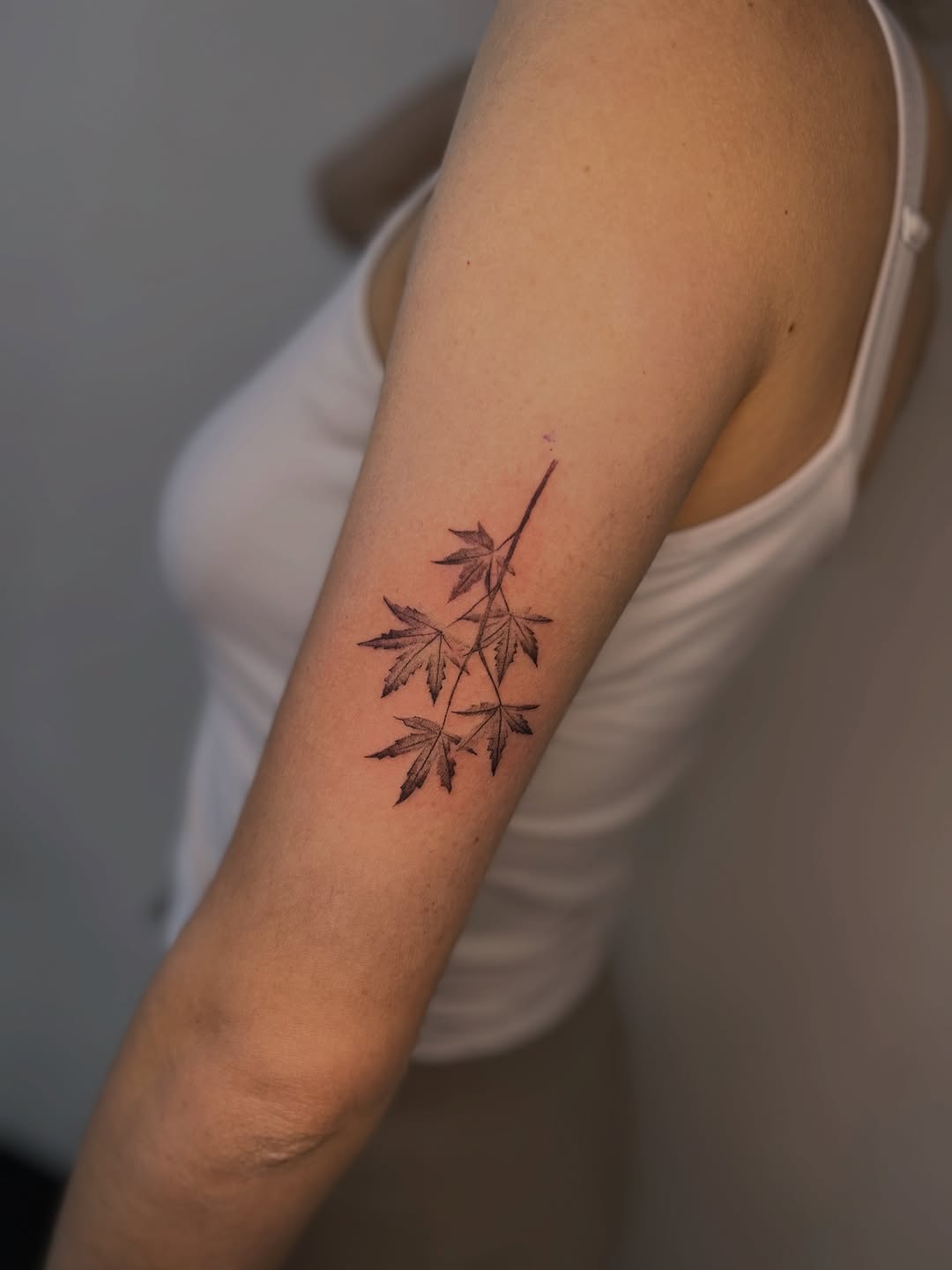Delicate fine-line maple branch tattoo on forearm