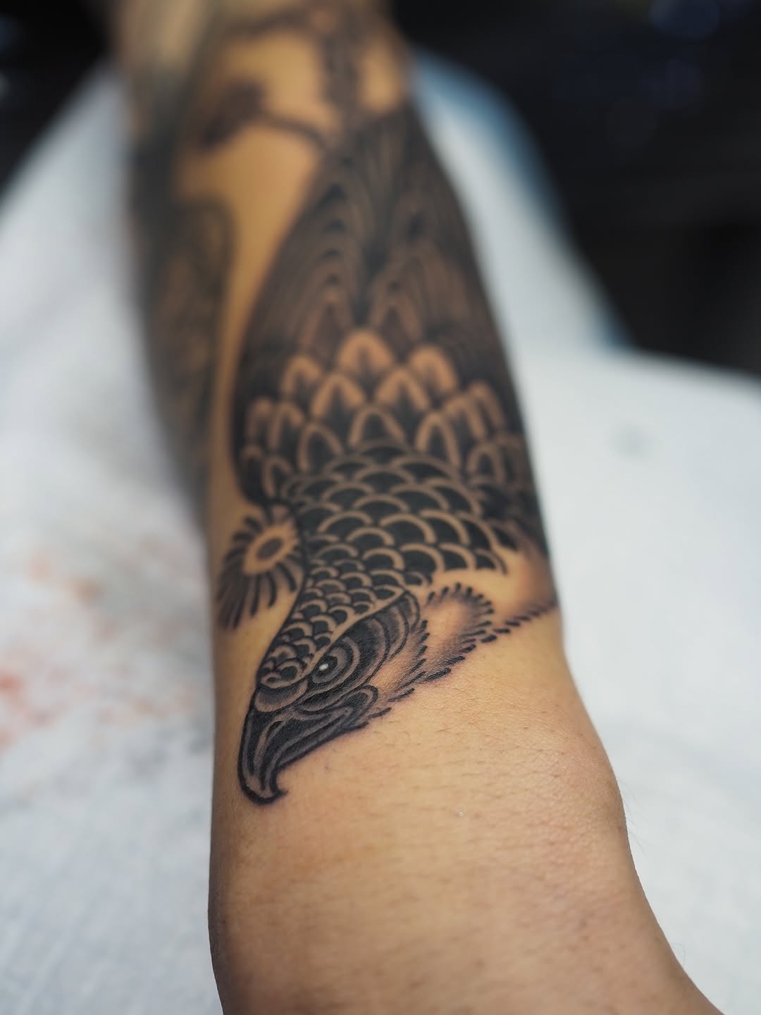 Bold hawk-feather motif in blackwork with geometric scales