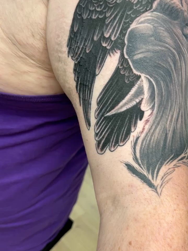 Bold black wing with layered feathers, high-contrast silhouette