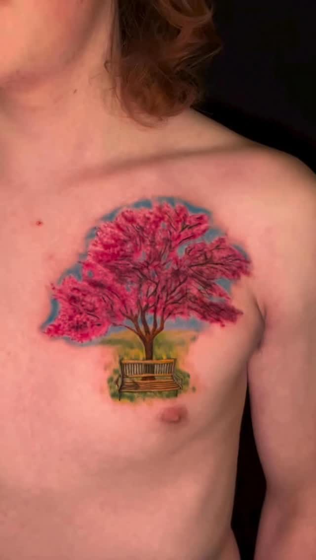 Vibrant pink cherry blossom tree over a wooden bench