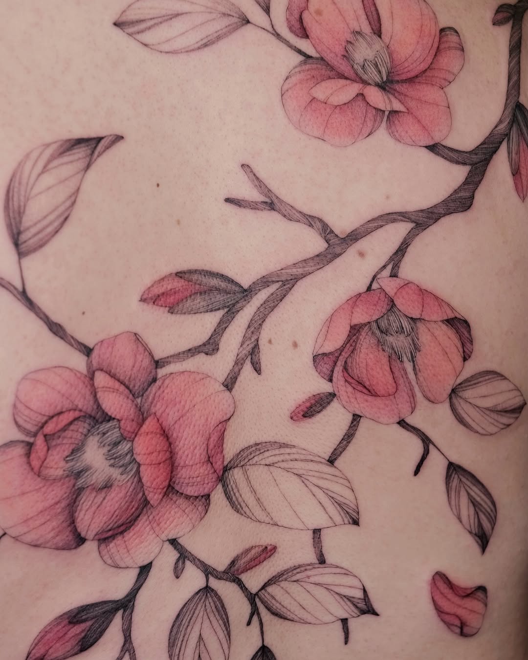 Delicate botanical blossoms with fine-line shading in pink.