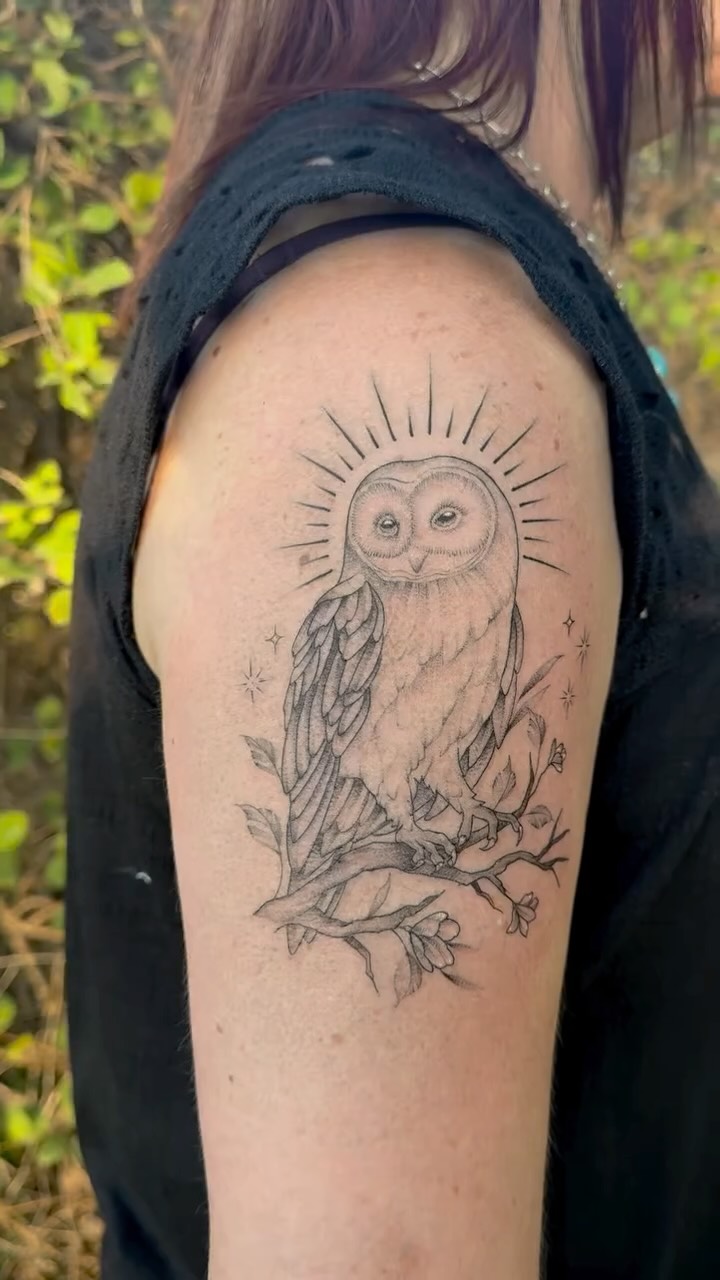 Delicate owl perched on a branch with sunburst halo