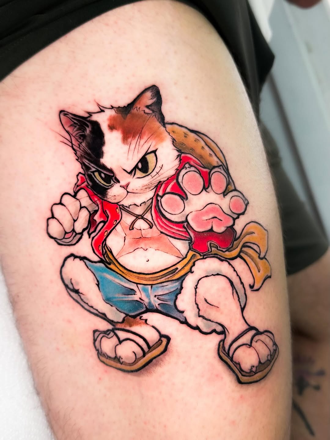 Bold calico cat in streetwear, punchy cartoon stance