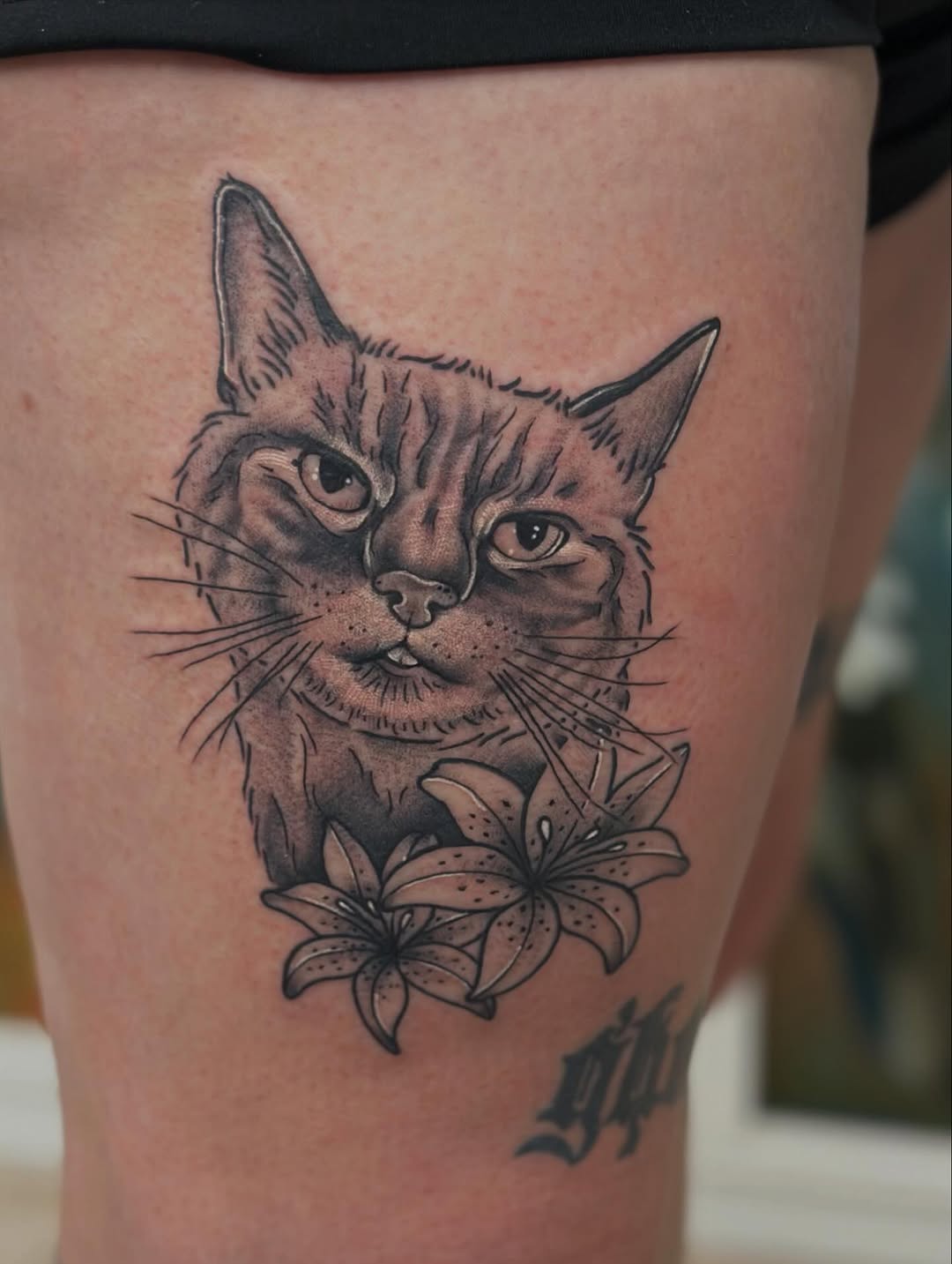 Bold black-and-gray cat portrait with lilies and detail