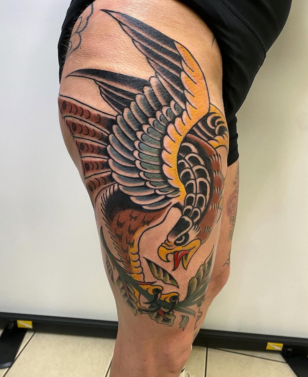 Bold traditional eagle with vivid plumage spanning thigh