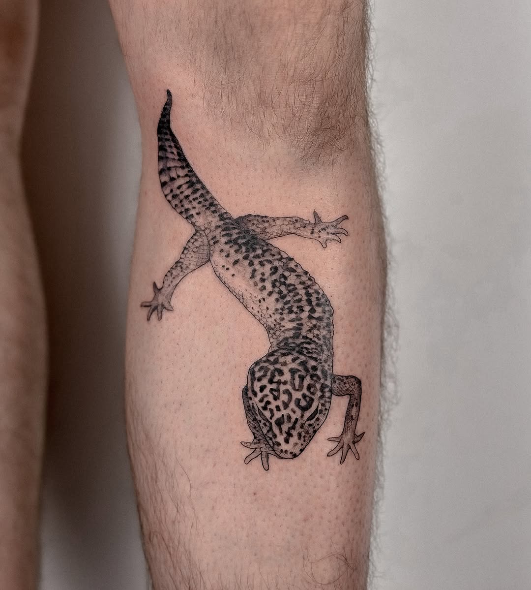 Leopard gecko rendered in dotted blackwork shading.