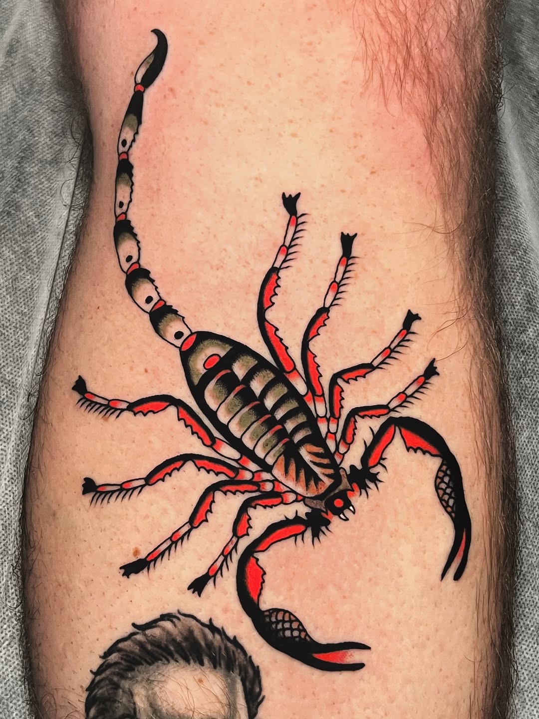 Bold neo-traditional scorpion with red accents and dynamic stance