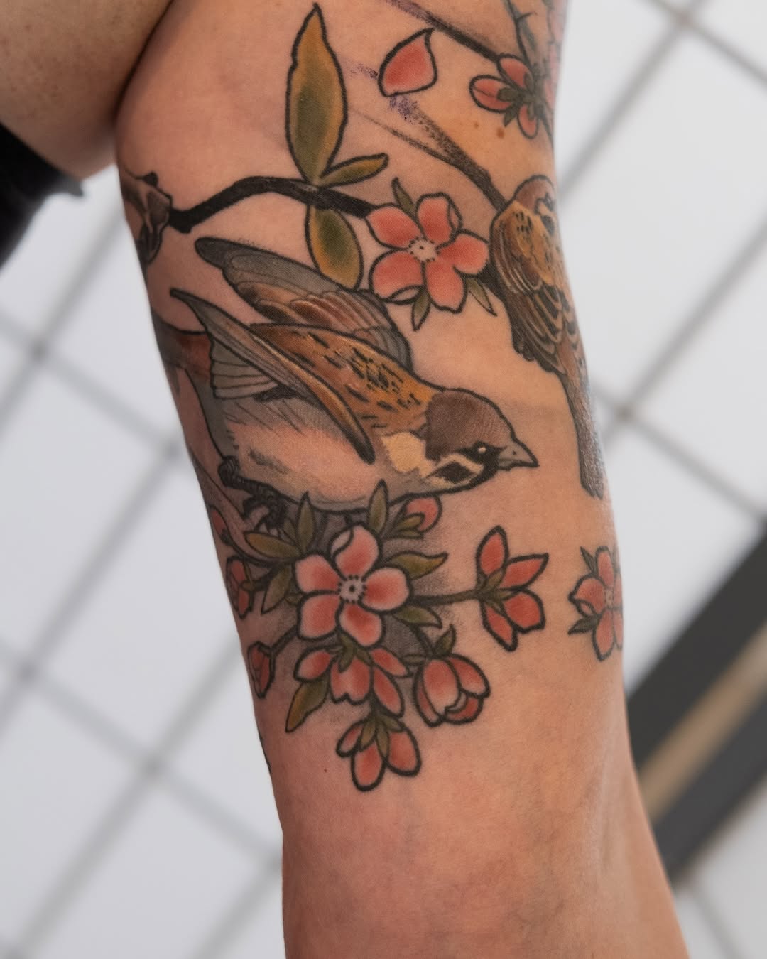 Bold linework sakura blossoms enveloping a tiny sparrow