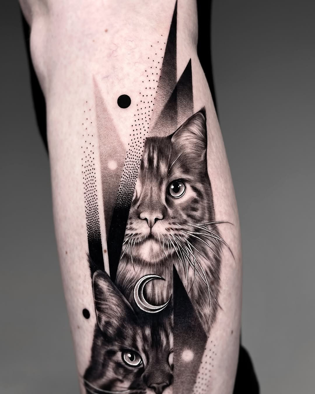 Two cats with crescent moon framed by geometric shards.