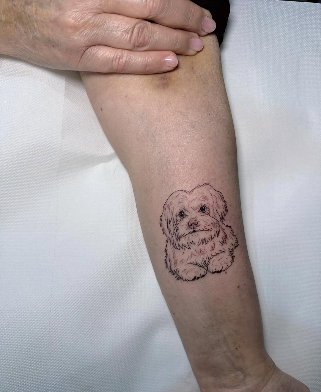 Tiny fluffy dog portrait in fine-line, sweet and delicate.