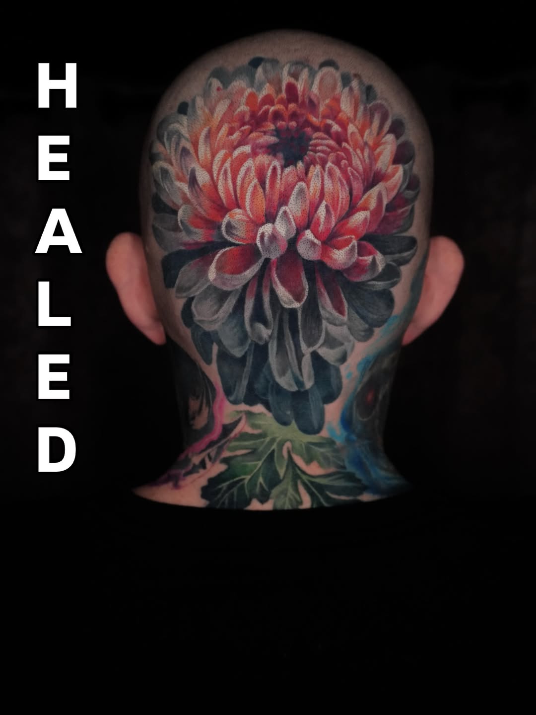 Vivid chrysanthemum blossom inked across the shaved scalp with lush color shading
