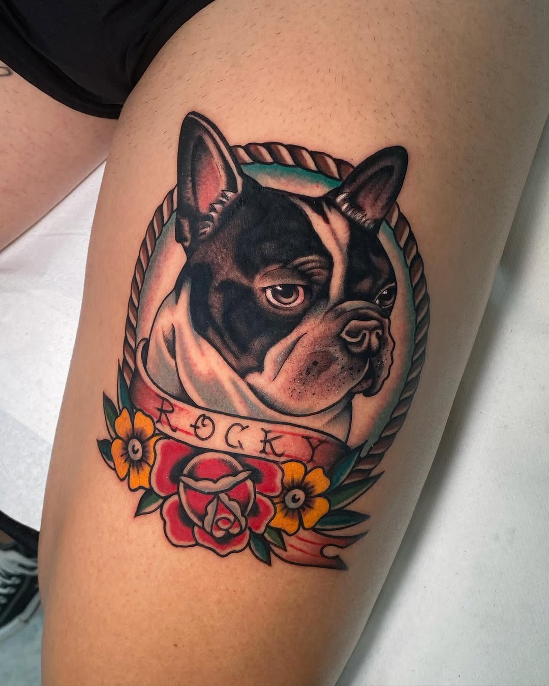 Bold dog portrait in classic American traditional style.