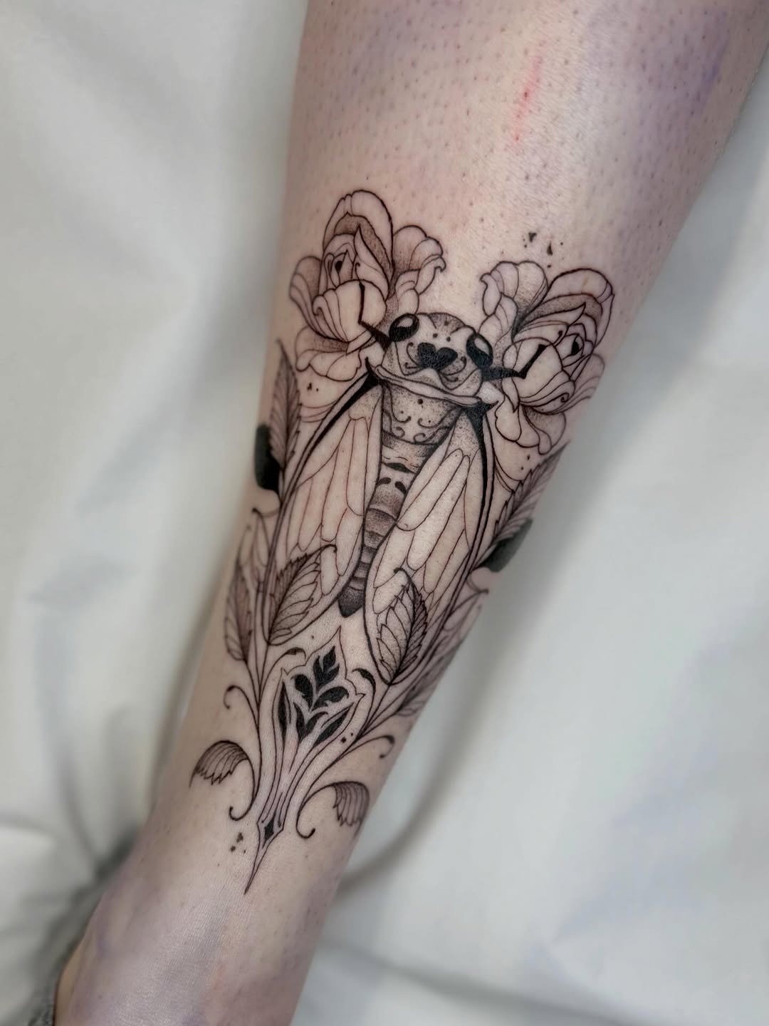 Elegant blackline cicada entwined with ornamental florals