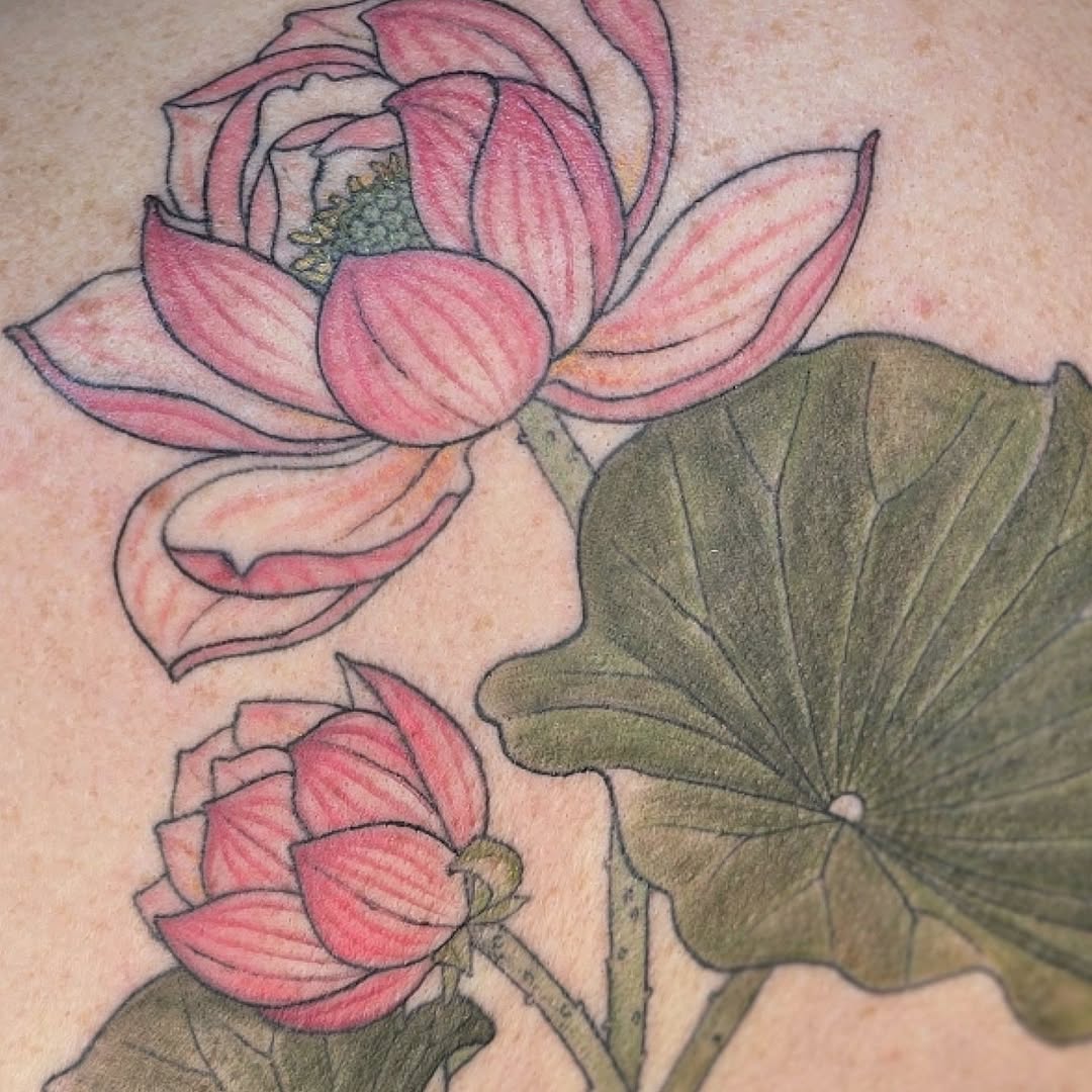 Delicate pink lotus blooms with bold linework and shading