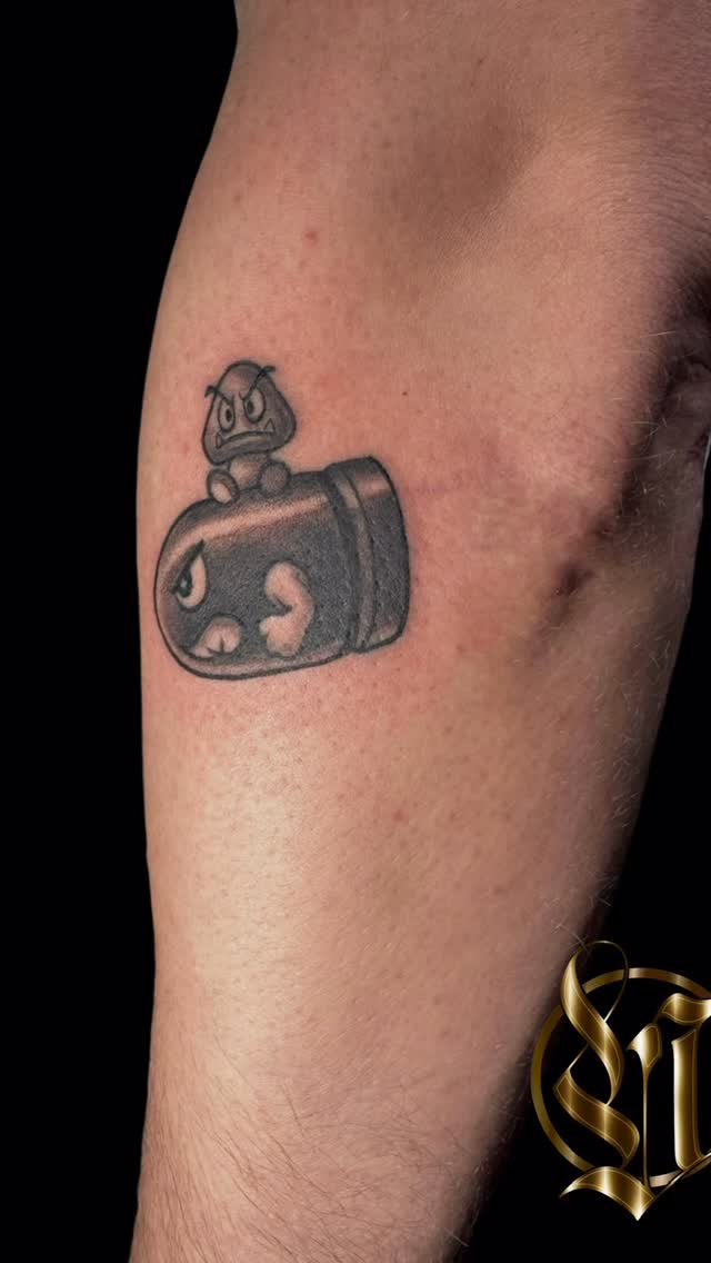 Bold grayscale Bullet Bill with perched Goomba.