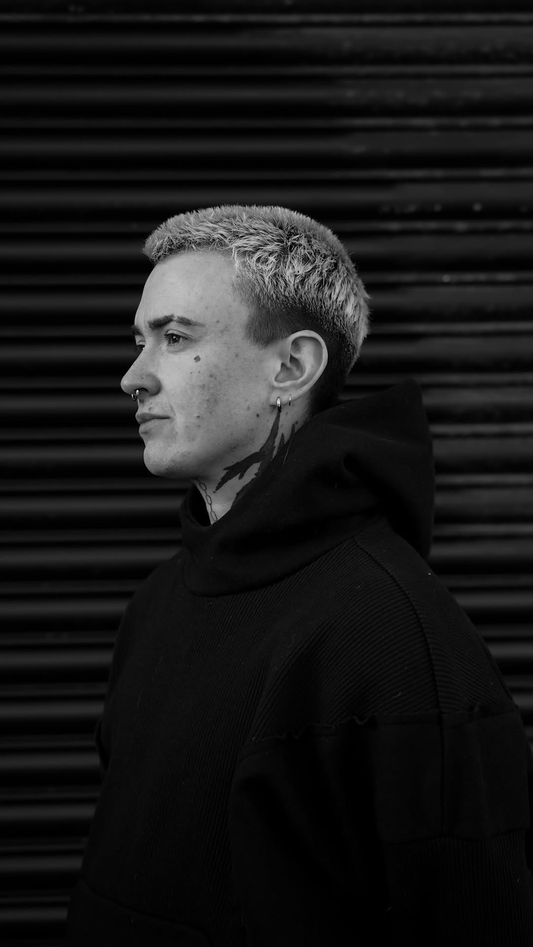 Bold black silhouettes of birds in flight along neck