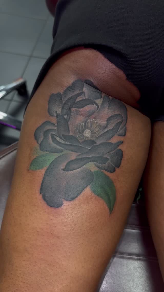 Bold black rose with smooth gray shading and green leaves