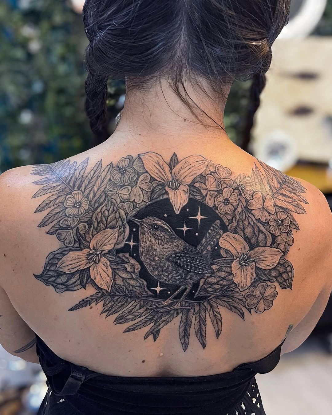 Lively Pacific wren amid lush florals and stars