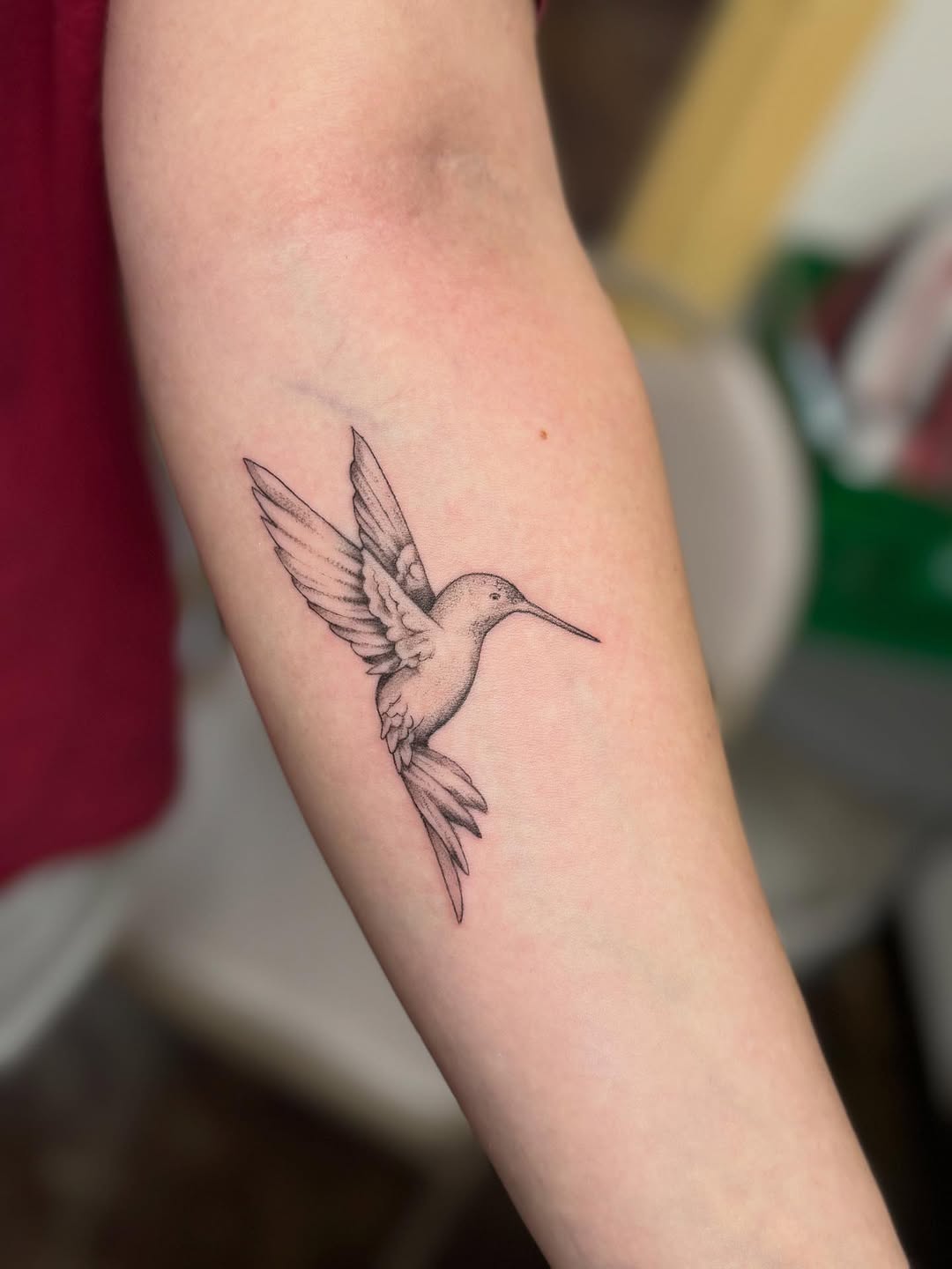 Delicate fine-line hummingbird with subtle black-gray shading.