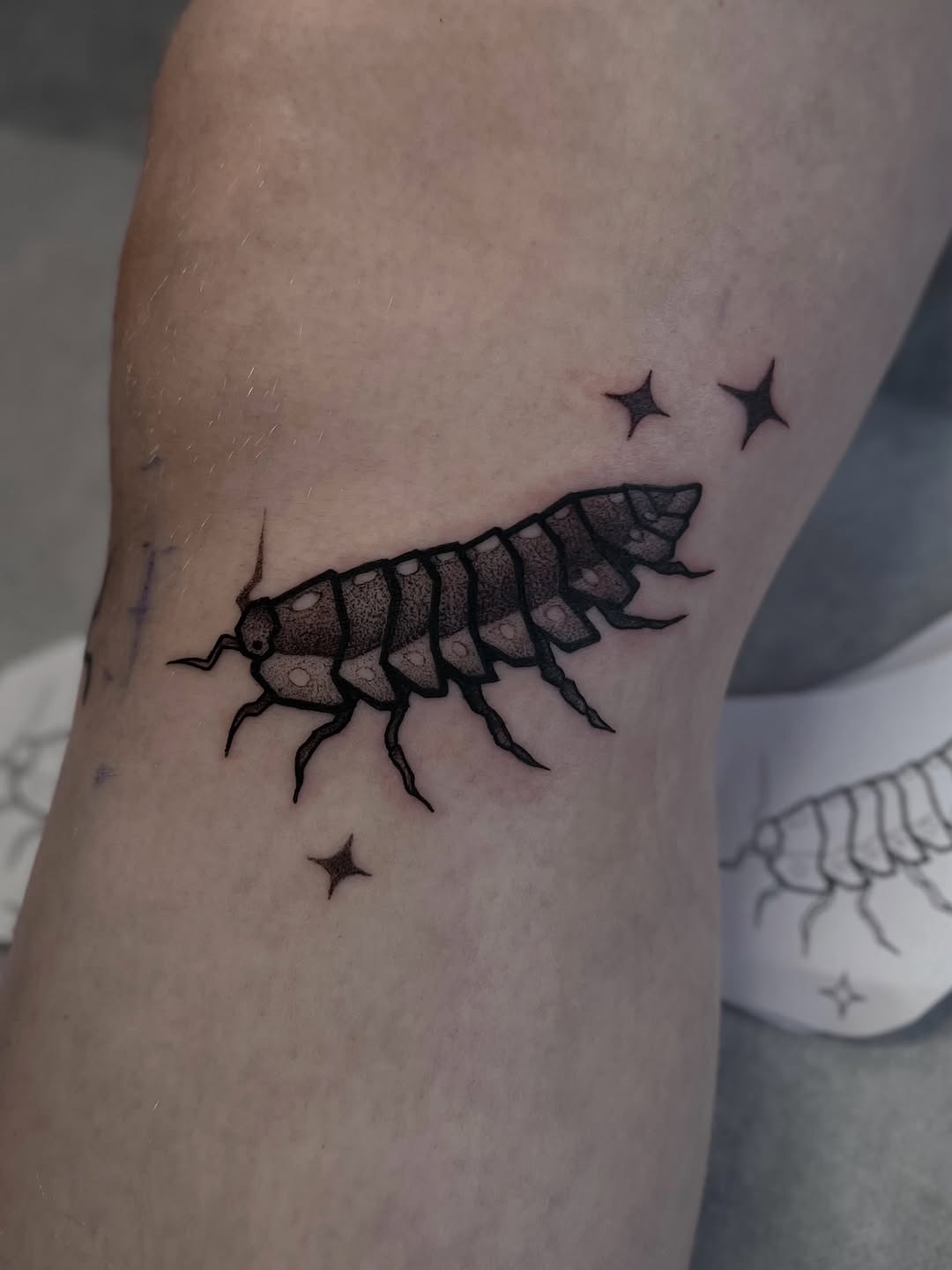 Bold black isopod crustacean with dot shading
