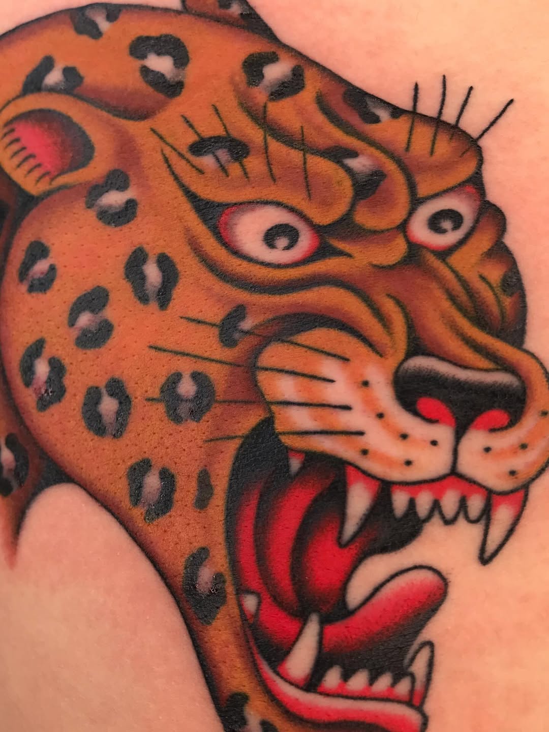 Bold leopard head in neo-traditional style, snarling