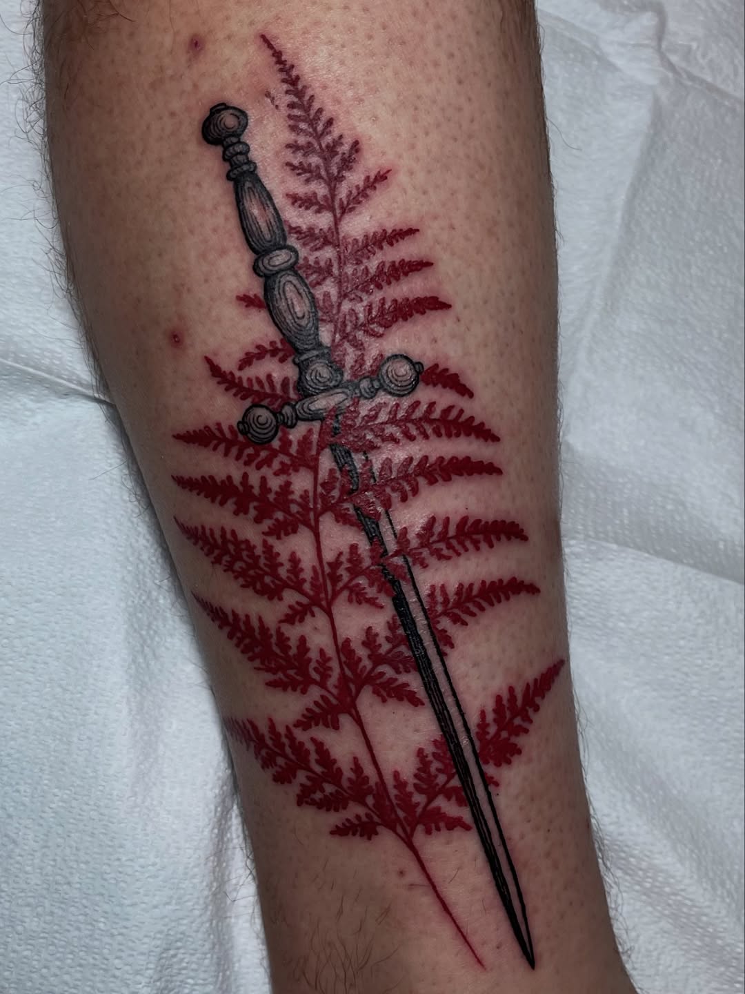 Bold dagger entwined with crimson fern in blackwork.