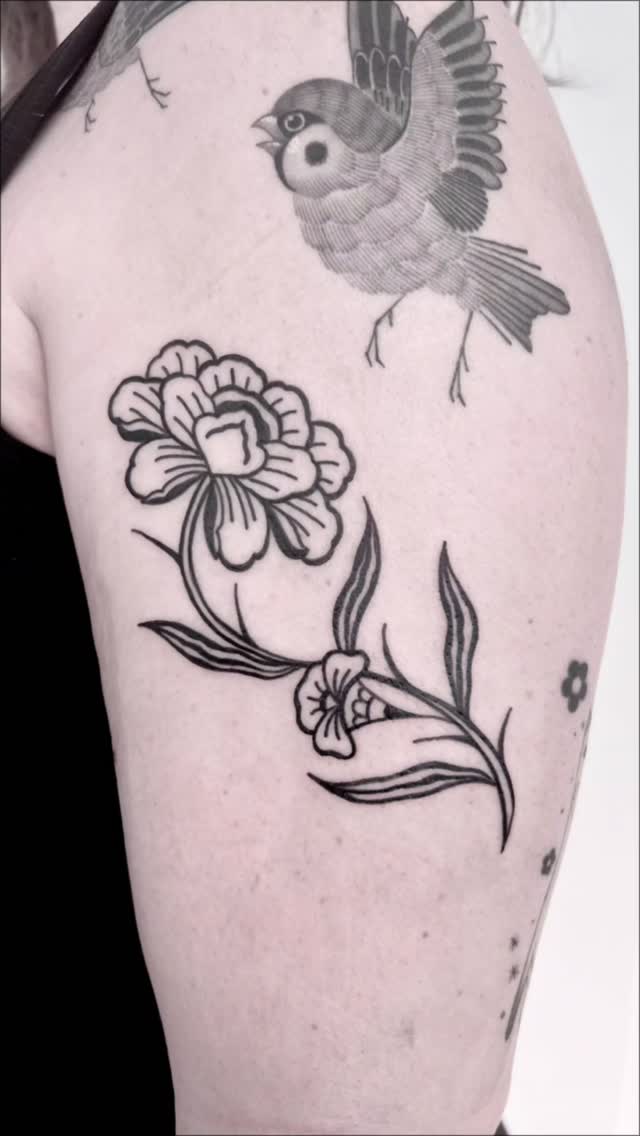 Bold blackwork peony with perched bird on upper arm.