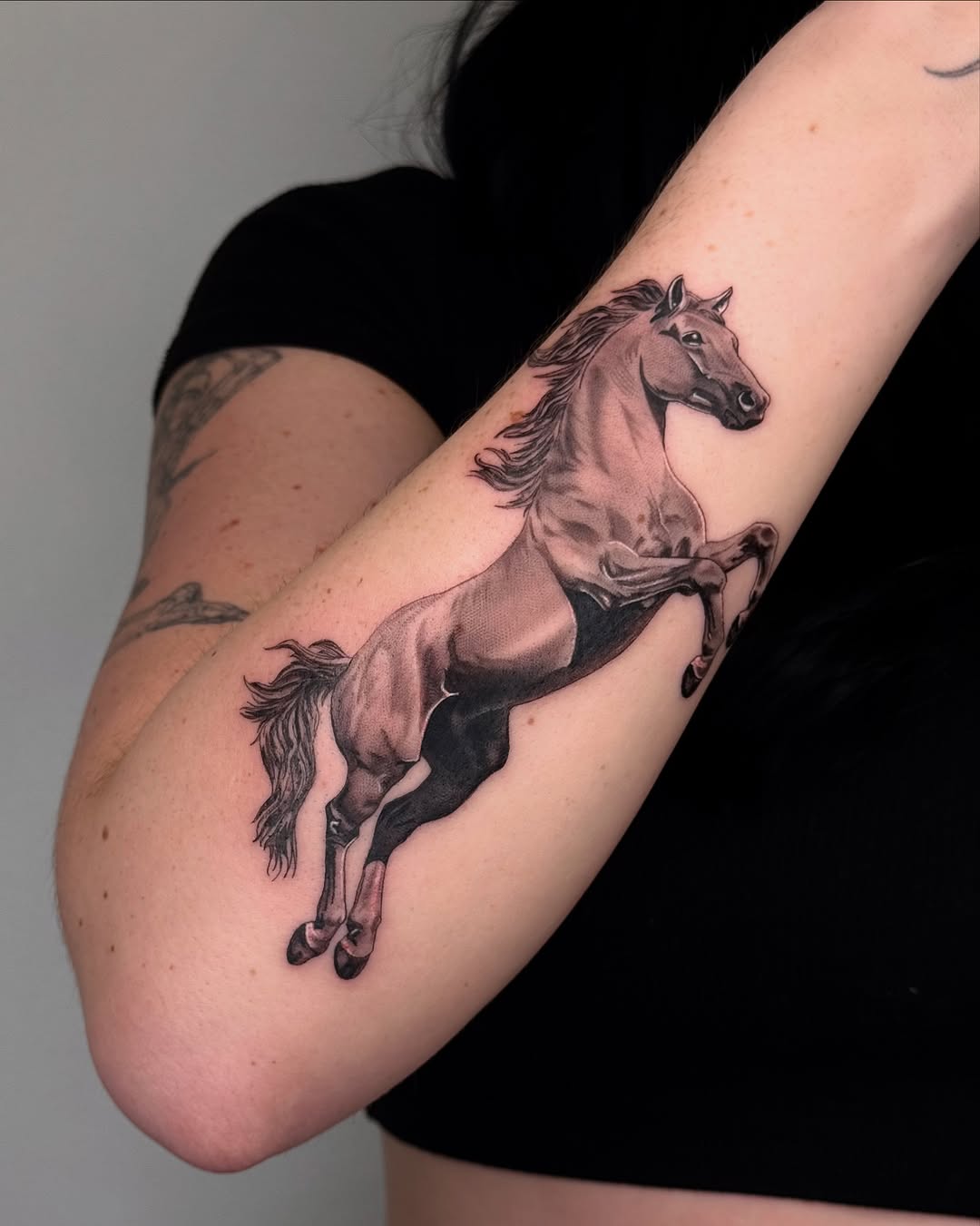 Dynamic black-and-gray galloping horse with flowing mane