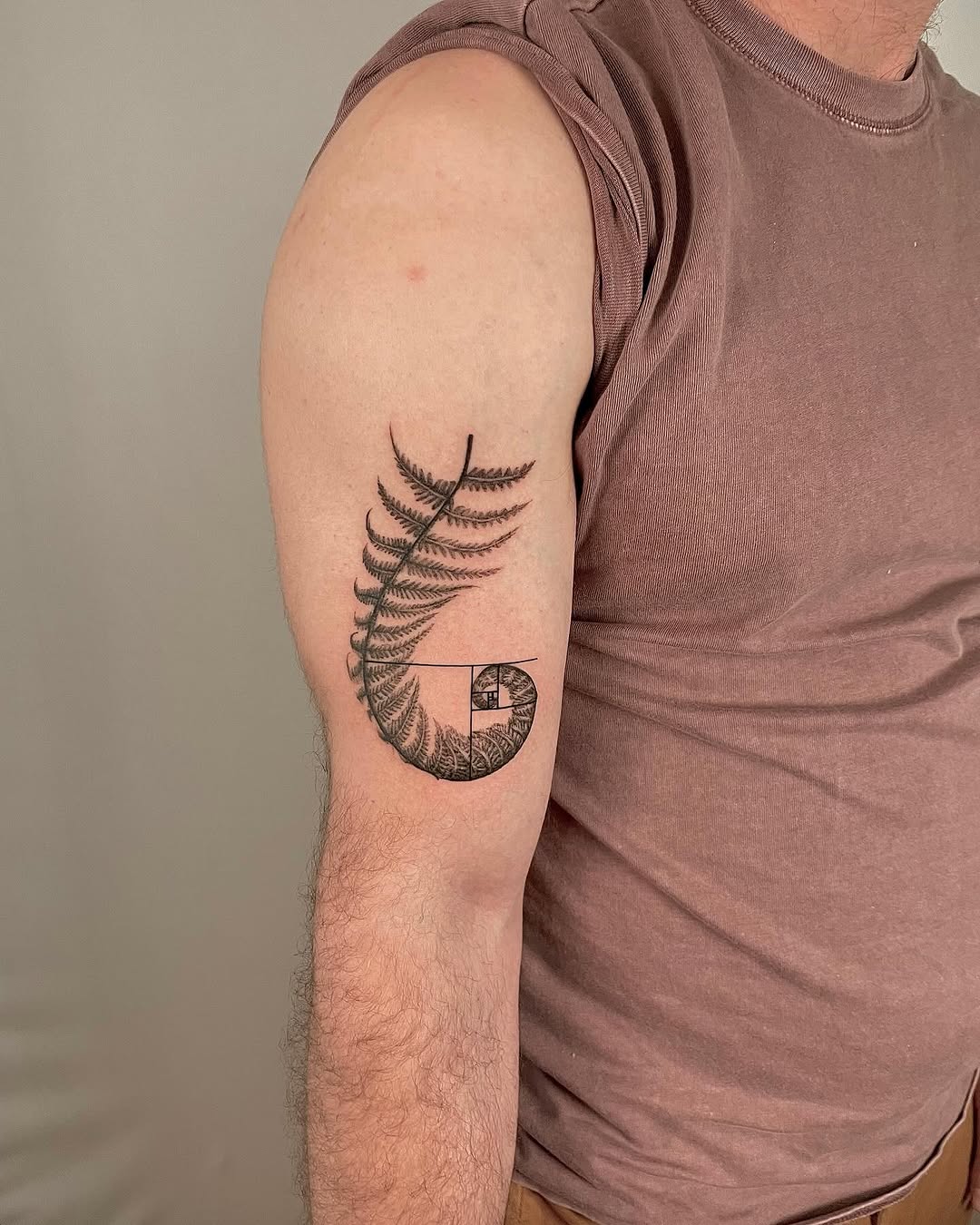 Curved fern frond wrapped around a geometric spiral