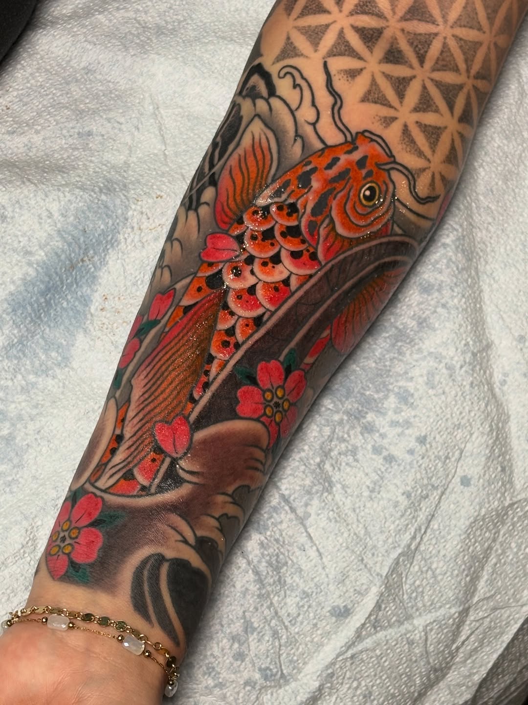 Koi fish with blossoms