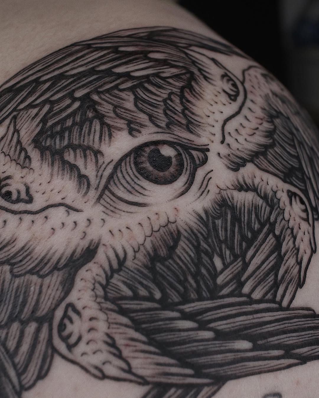 Bold woodcut-style owl head with intricate linework