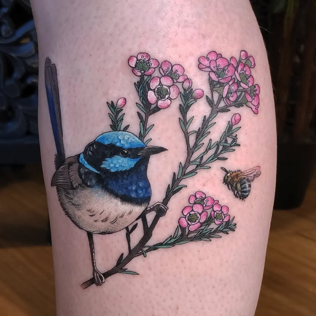 Vivid blue fairy-wren perched among pink blossoms and bee.