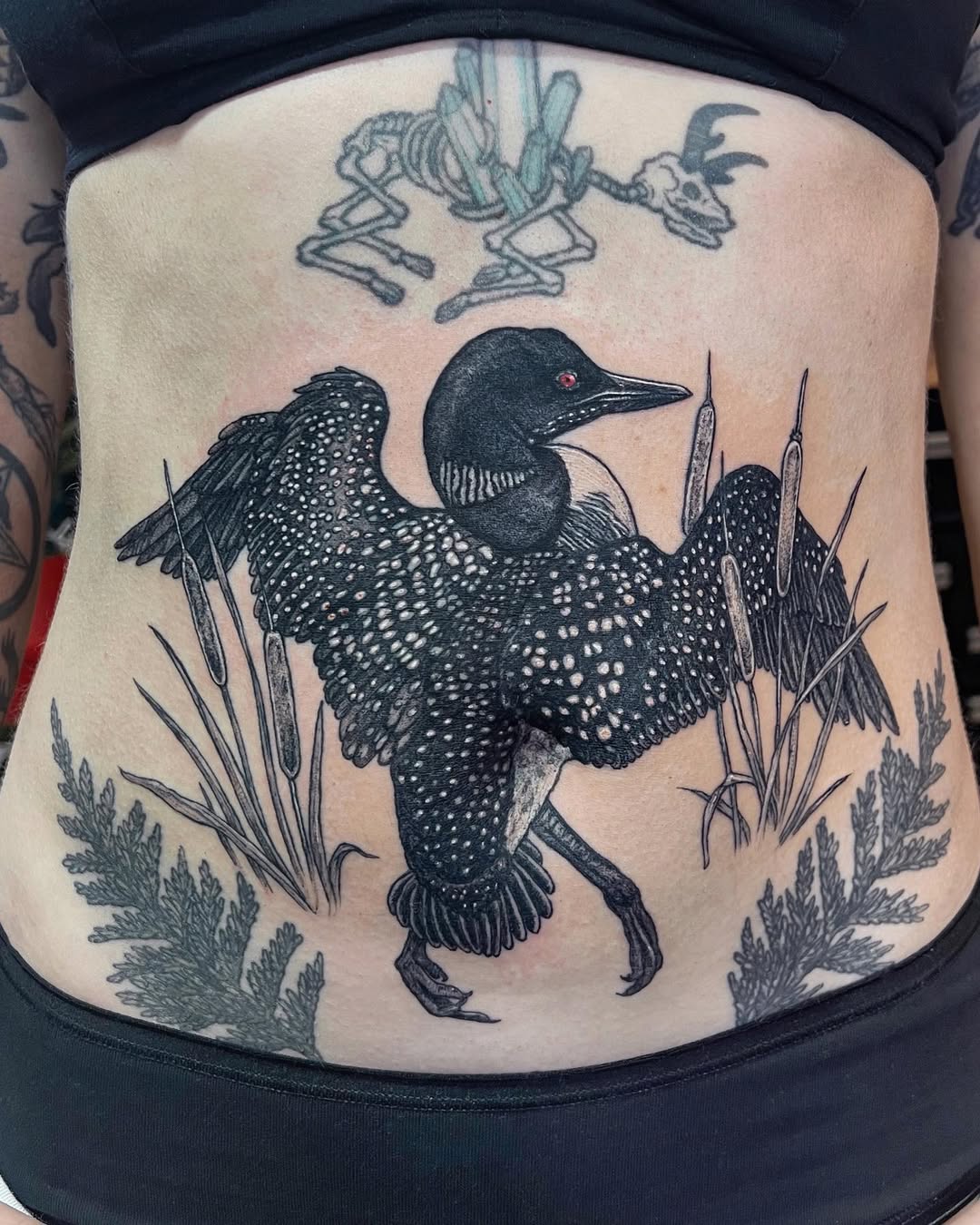 Monochrome loon with stippled plumage among reeds