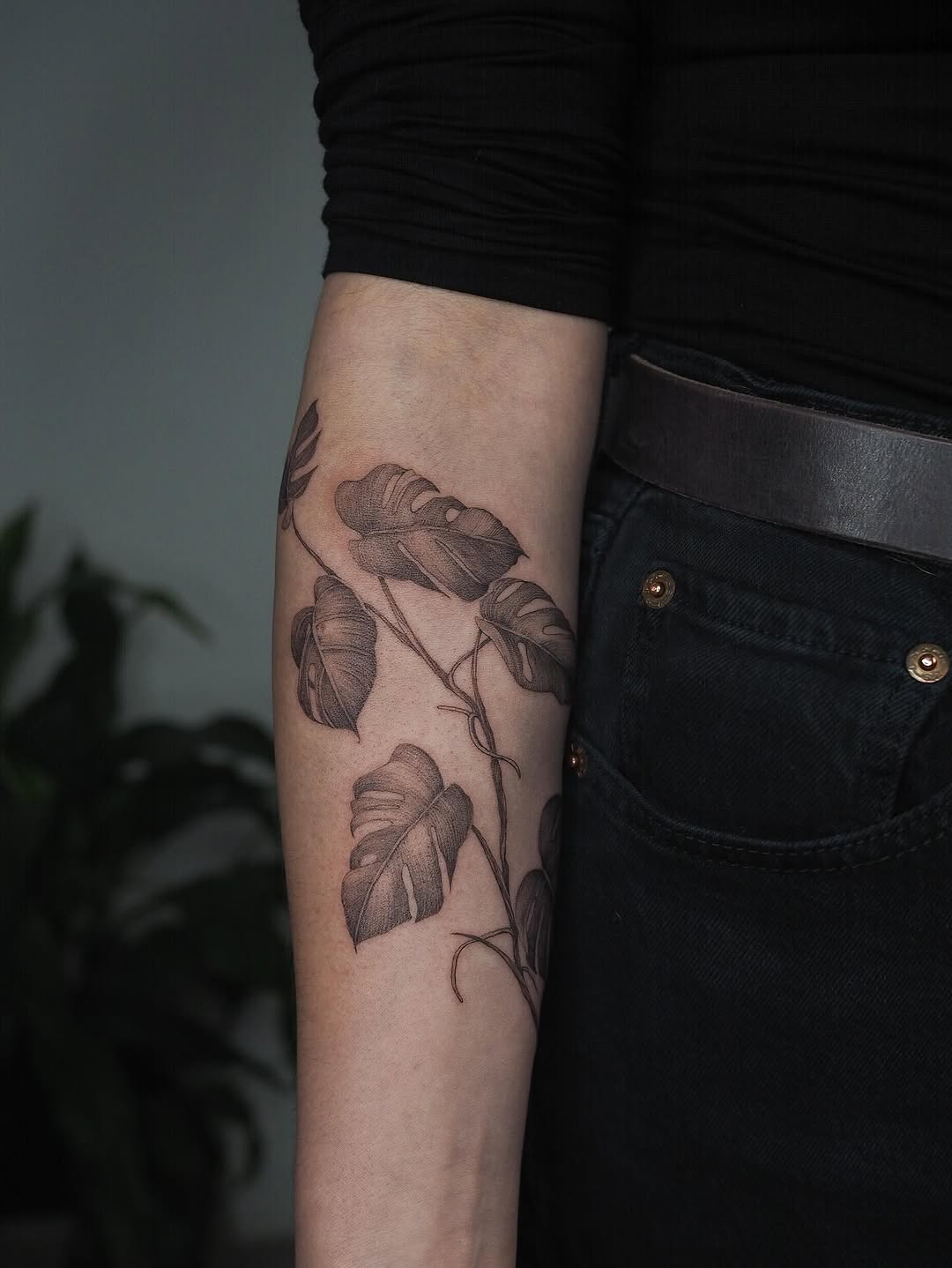 Monochrome monstera vine with fine linework and shading