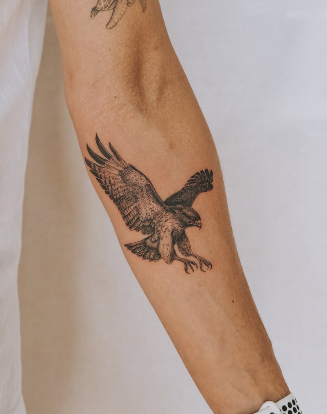 Detailed blackwork falcon in mid-flight with talons