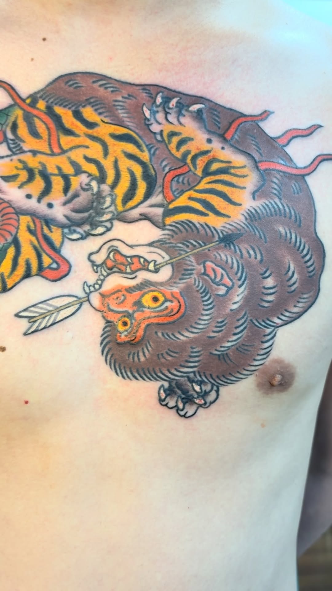 Vivid Japanese-style tiger vs boar clash, bold colorwork