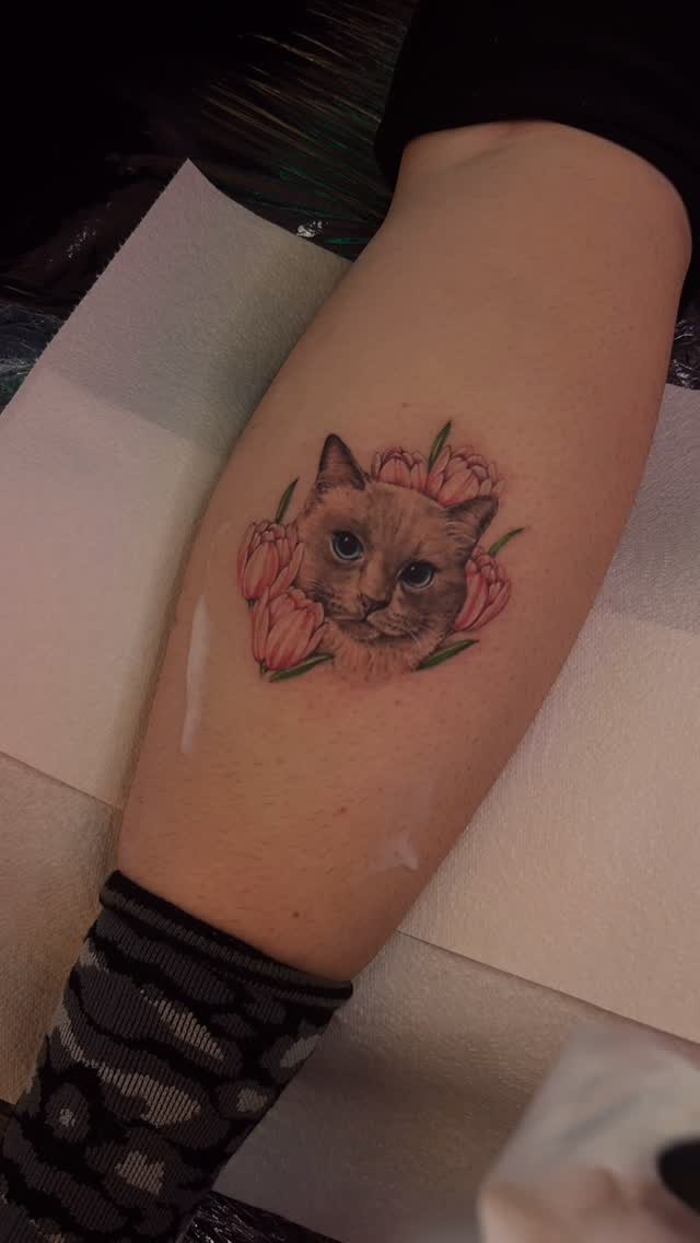 Adorable kitten surrounded by soft pink tulips.