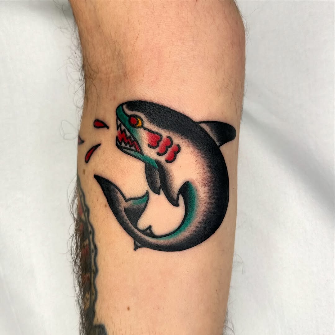 Bold neo-traditional shark with teal highlights, fierce bite