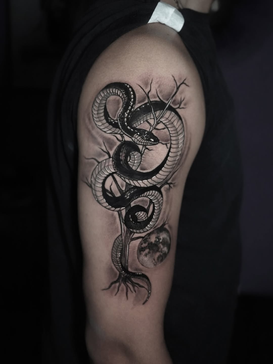 Snake tattoo on upper arm