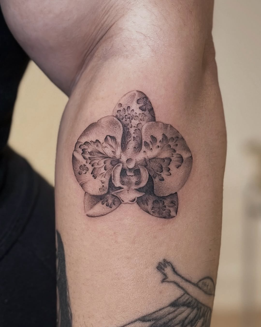 Delicate black-and-gray orchid on forearm, botanical realism