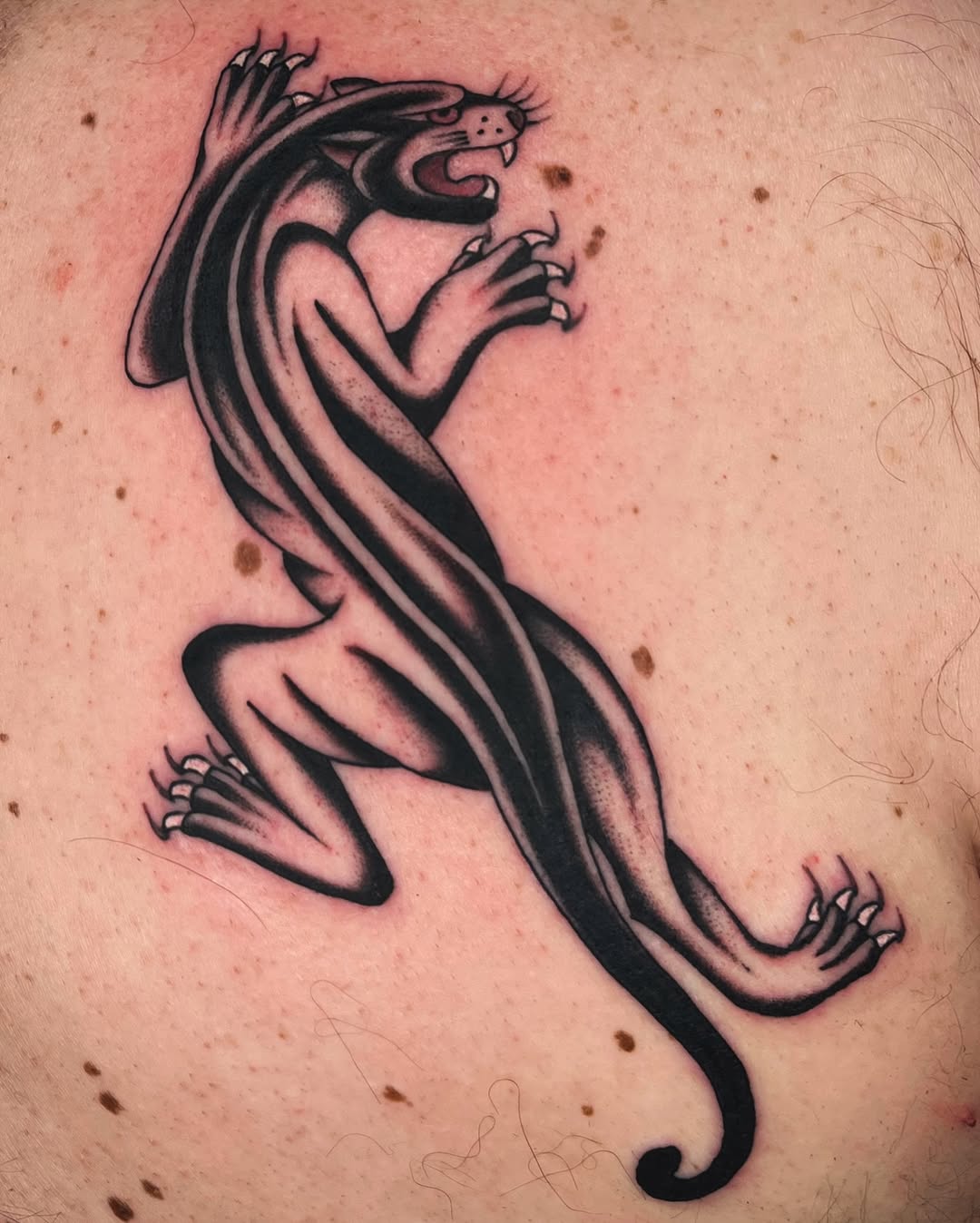 Bold blackwork panther with flowing sinewy limbs