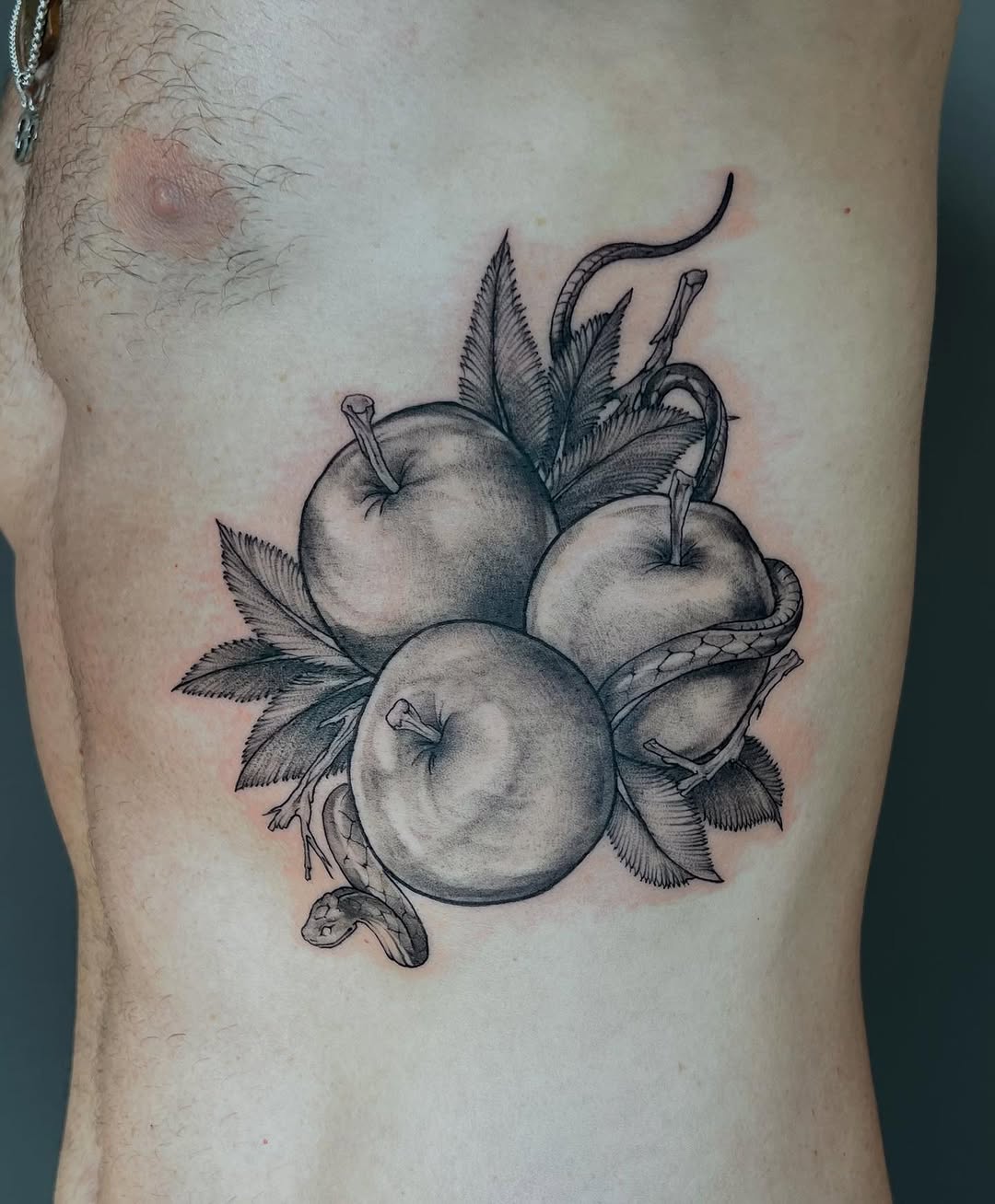 Monochrome peach cluster wrapped by a curling snake, botanical